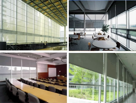 Motorized Shades